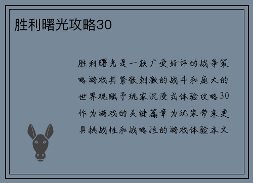 胜利曙光攻略30